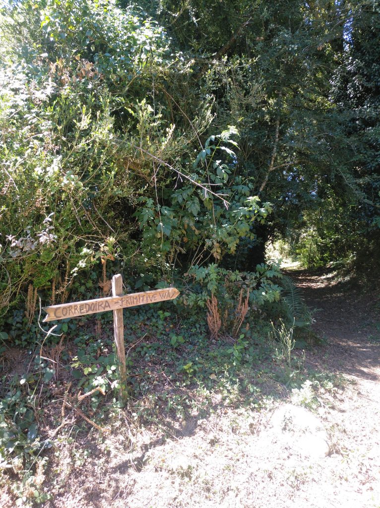 Corredoira primitiva.